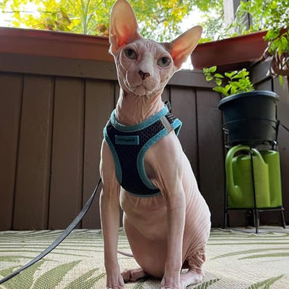 Best Pet Supplies - All Weather Mesh, Reflective, No Pull Harness for Small, Medium Dogs, Cats - Secure with Hook & Loop Fastener, Buckle, Double D-Rings - Blue Trim, XS - color: Harness (Blue Trim), size: XS (Chest: 13 - 14.5")