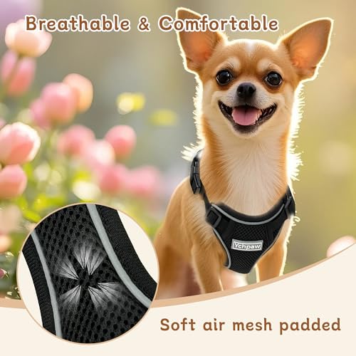 Small Dog Harness and Leash Set, Reflective Soft Breathable Mesh Vest, 3 Buckles, Adjustable Neck and Chest,Step in Dog Harness for Walking, Running, Training, Black, M - color: Black, size: Medium