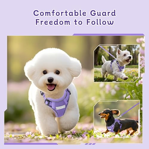 Small Dog Harness and Leash Set, Reflective Soft Breathable Mesh Vest, 3 Buckles, Adjustable Neck and Chest,Step in Dog Harness for Walking, Running, Training, Purple, S - color: Purple, size: Small