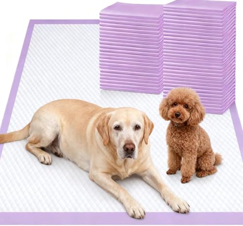 Gimars XL 6-Layer Ultra Absorbent 1200ml 48-Hour Leak-Proof Dog Pee Pads, Quick Dry Extra Large Puppy Pads for Puppy Training, Senior & Incontinent Dogs, Cats, Overnight Use, 30"x36", 50 Count - size: 30"x36" 50 Counts Purple