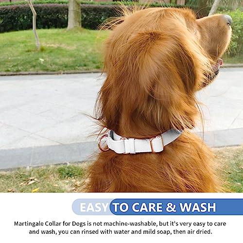 Soft Leather Martingale Dog Collar - Adjustable Rose Gold Limited Slip Collars [Easy to Clean], Stylish Durable Heavy Duty Nylon No Pull Training Collar for Small Medium Large Dogs XS White - color: White, size: XS (Neck 8"-11", Width 3/5")