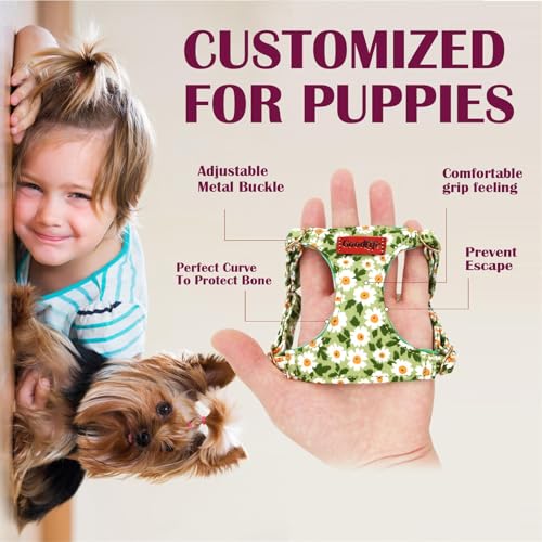 OaaXbbECco No Pull Floral Pattern Puppy Harness,Soft Adjustable Dog Harness Vest and Dog Leash Set No Choke Escape Proof (Green Daisy, XXS) - color: Green Daisy, size: XXS