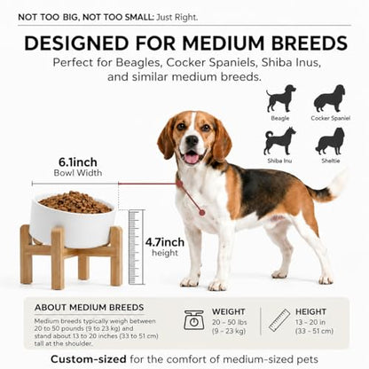 hjn Elevated Ceramic Dog Bowl 15°Slanted Raised Dog Bowl with Bamboo Stand for Small Medium Dogs and Cats, Pet Feeder -3.6-Cup (850ml)-White - color: White, size: 3.6Cup