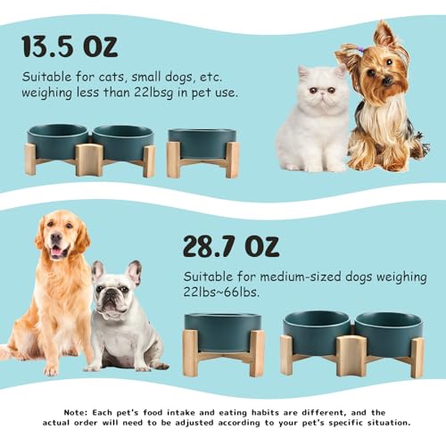 SPUNKYJUNKY 15° Slanted Ceramic Dog and Cat Bowl with Wooden Stand, Tilted Bulldog Food and Water Bowl No Slip Non-Spill for Cats Medium Dogs Big Face Pets 13.5 OZ (1.7 Cups, Green × 2) - color: Green, size: 1.7 CUPS × 2