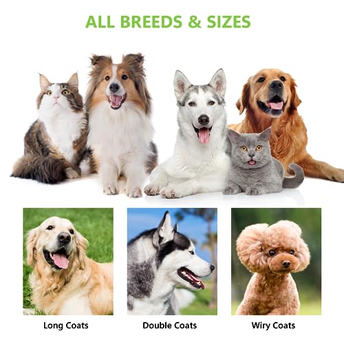 STALTWO Pet Grooming Supplies - 2-in-1 Professional Undercoat Rake and Pet Brush | Shedding Control for Long Haired Dogs and Cats, Deshedding Tool, Pet Grooming for Dogs and Cats, Green - color: Green