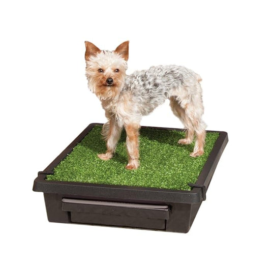 Indoor Yard Training System for Dogs, Small