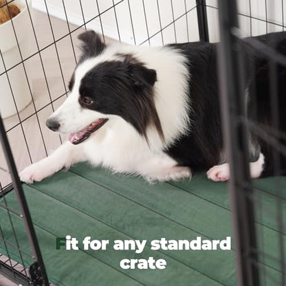 BALANCE Dog Crate Pad, Dog Foam Crate Mat Kennel Pad, Washable Water-Resistant Pet Bed Flat Dogs Cage Mat for Medium Dogs - color: Green, size: 30.0"L x 19.0"W x 0.8"Th