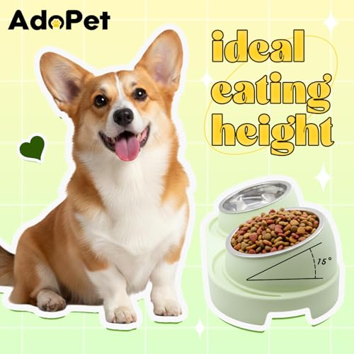 Non-Slip Tilted Double Dog & Cat Bowl with Removable Inserts, Anti-Tip Dual Food and Water Feeder for Small Dogs and Cats, Easy to Clean (Pastel Green) - color: Pastel Green