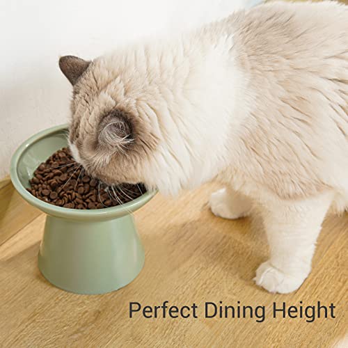 CEEFU Extra Wide Elevated Ceramic Cat Bowl, 6.2" Shallow Dish for Whisker Fatigue Relief, 5" Height for Easy Feeding, Durable Raised 2 Cat Food Bowls, Sage Green - color: Sage Green-2 Food Bowl