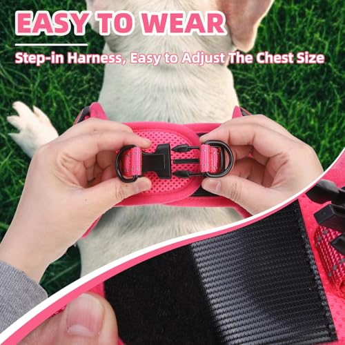 PUPTECK Dog Harness Small Sized Dog, Step in Adjustable Reflective Dog Vest Harness Escape Proof, No Pull Soft Padded Harness Easy Control, Fuschia, M - color: Fuschia(Daisy), size: M (CHEST: 14.5"-20")
