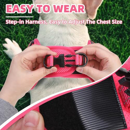 PUPTECK Dog Harness Small Sized Dog, Step in Adjustable Reflective Dog Vest Harness Escape Proof, No Pull Soft Padded Harness Easy Control, Fuschia, M - color: Fuschia(Daisy), size: M (CHEST: 14.5"-20")