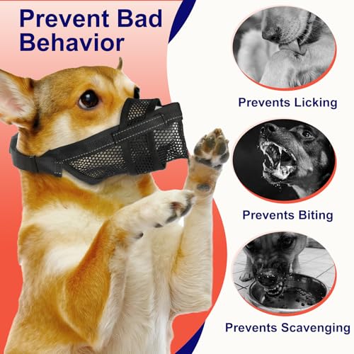 Breathable Dog Muzzle, Soft Mesh Muzzle for Large Medium Small Dogs - Pet Mouth Guard with Reflective Straps, Prevents Biting Chewing Scavenging & Allows Drinking, (XL) - size: XL