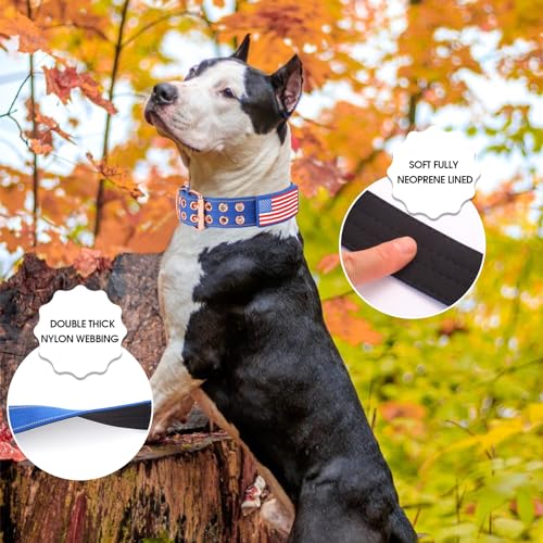 Heavy Duty Tactical Dog Collar with Neoprene Padded and Metal Buckle, Reflective Nylon for Medium to Large Dogs(Blue, Medium) - color: Blue, size: Medium (Pack of 1)