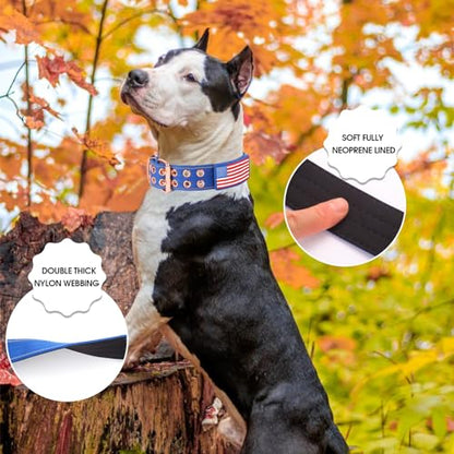 Heavy Duty Tactical Dog Collar with Neoprene Padded and Metal Buckle, Reflective Nylon for Medium to Large Dogs(Blue, Medium) - color: Blue, size: Medium (Pack of 1)