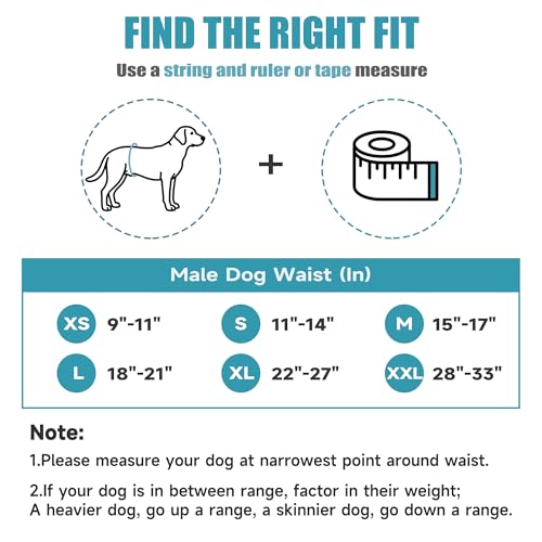 Wegreeco Washable Male Dog Diapers (Pack of 3) - Washable Male Dog Belly Wrap (Mustang, X-Small) - color: Mustang, size: X-Small (Pack of 3)