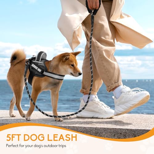 Service Dog Vest Harness and Leash Set, Animire in Training Dog Harness with 10 Dog Patches, Reflective Dog Leash with Soft Padded Handle for Small, Medium, Large, and Extra-Large Dogs (Black,S) - color: Black, size: S