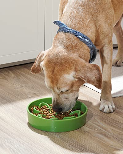 LE TAUCI Slow Feeder Dog Bowls Ceramic, 3 Cups Slow Feeding Dog Bowl Medium Large Breed, Pet Bowl for Fast Eaters, Puzzle Pet Dishes,Clover Green - color: Clover Green, size: L-3 Cups