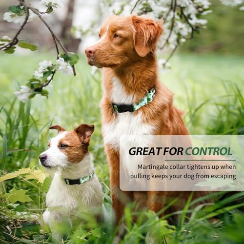 Hikiko St Patrick's Day Martingale Collar for Dogs with Quick Release Buckle Nylon Adjustable Dog Collars Pet Gift Walking Training（Clovers,Large） - color: Clover, size: Large