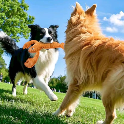 Squeaky Dog Toy No Stuffed Dog Toys,Lobster Puppy Toys for Small Medium Large Breed pups Teething Interactive Toy to Keep Them Busy, Best Christmas Birthday Gift - color: Orange