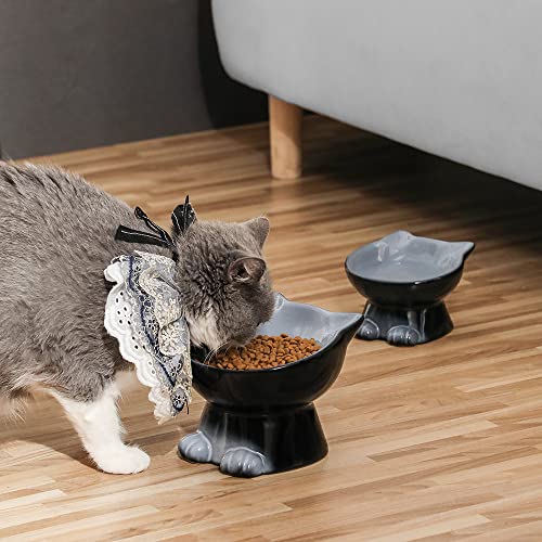 Nihow Elevated Cat Bowls,6 Inch Ceramic Raised Cat Food and Water Bowl Set | Slanted,Whisker Friendly,for Protecting Pet's Spine,Microwave & Dishwasher Safe ,Elegant Gray,6.8 OZ - color: Gray, size: 6.8 OZ+15.5 OZ