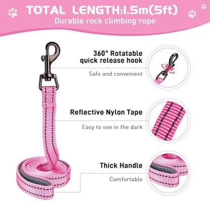 Soft Mesh Dog Harness and Leash Set, No Pull Puppy Harness and Leash Set, Reflective Step in Harness for Small Medium Dogs, Easy Walk Escape Proof Vest Harnesses (Rose Red, XXS) - color: Rose Red, size: XXS
