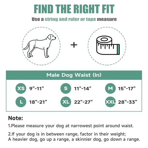 wegreeco Washable Male Dog Belly Band (Stylish Pattern) - Pack of 3 - Dog Diapers Male - Washable Male Dog Belly Wrap (Bones & Footprints, X-Small) - color: Bones & Footprints, size: X-Small (Pack of 3)