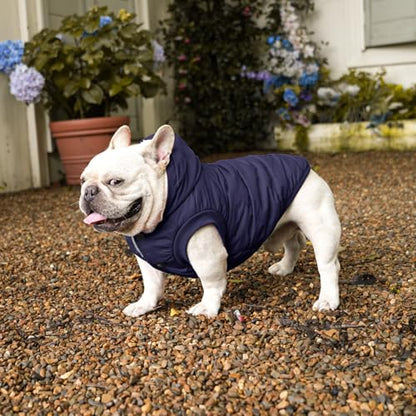 Vecomfy Fleece Lining Extra Warm Dog Hoodie in Winter,Small Dog Jacket Puppy Coats with Hooded,Blue XS - color: Blue, size: X-Small (Pack of 1)