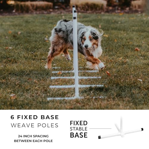Better Sporting Dogs Complete Starter Agility Set for Dogs, 5 Piece | Agility Jump, Tire Jump, Weave Poles, 10' Tunnel with Sandbags, Pause Box