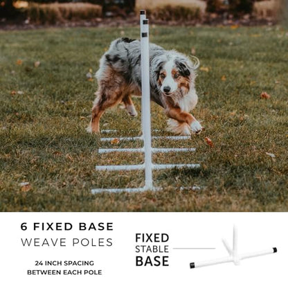 Better Sporting Dogs Complete Starter Agility Set for Dogs, 5 Piece | Agility Jump, Tire Jump, Weave Poles, 10' Tunnel with Sandbags, Pause Box