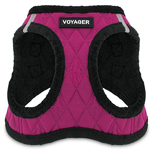 Best Pet Supplies - All Weather Mesh / Plush, Reflective, No Pull Harness for Small, Medium Dogs, Cats - Secure with Hook & Loop Fastener, Buckle, Double D-Rings - Red Rose Plush, XS - color: Red Rose Plush, size: XS (Chest: 13 - 14.5")