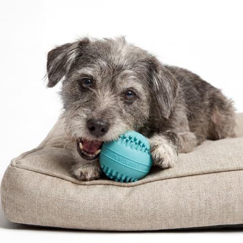 Playology Dog Toys | Dental Chew Ball for Senior Dogs | Peanut Butter Scented Medium Toy | Dog Balls for Healthy Teeth and Gums - size: Medium Chew Ball, style: Peanut Butter