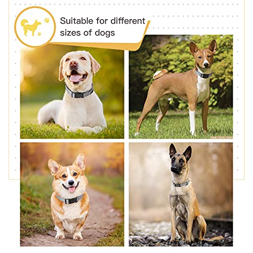HEELE Dog Collar, Reflective Dog Collar, Soft Neoprene Padded Breathable Nylon Pet Collar Adjustable for Small Dogs Puppy, Gray, XS(7.87-11.81") - color: Gray, size: X-Small (7.87-11.81")