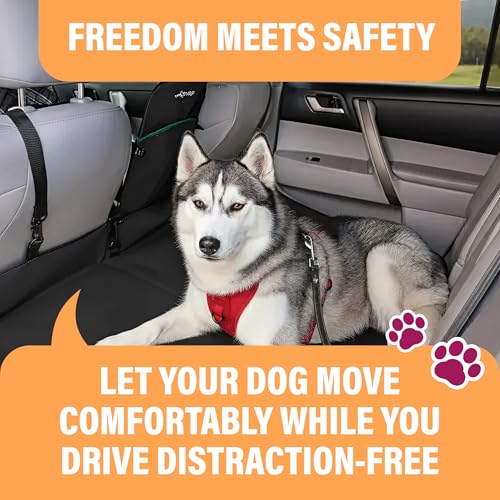 Active Pets Black Car Seat Belt for Dogs 2 Pack, Attaches to Harness & Collar, Adjusts 18" - 24" Safety & Comfort Travel Restraint System Fits Small - Large Pups, Seatbelt Pet Supplies & Accessories - style: Black - 2 Pack