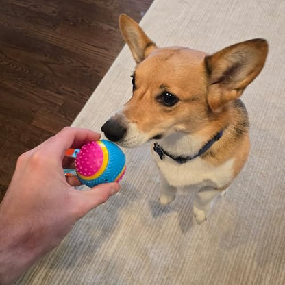 SPOT Sensory Ball for Soft Chewers - Stimulates All 5 Senses, Bell & Squeaker Sounds, Raised Nubs Clean Teeth, High Contrast Fetch Toy, Beef Scented, Durable TPR Rubber Ball, 2.5-inch - size: 2.5 inch (Pack of 1)