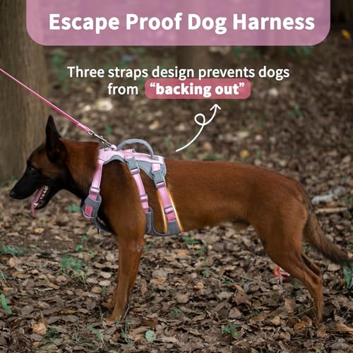 Huntboo Reflective Dog Harness with Handle, Escape Proof, No Slip, Breathable, Lightweight, Adjustable Lift Harness for Small, Medium, and Large Dogs Walking, Training, and Running Gear(Light Pink,L) - color: Light Pink, size: Large (Pack of 1)