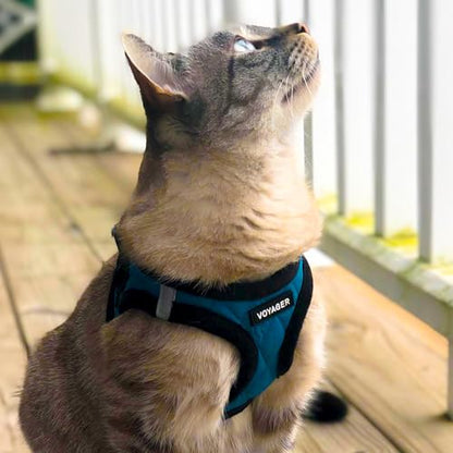Best Pet Supplies Voyager Step-in Plush Dog Harness - Soft, Step in Vest Harness and Reflective Dog 5 ft Leash Combo with Neoprene Handle for Small and Medium Dogs, Turquoise Plush, M - color: Harness Leash Set (Turquoise Plush), size: M (Chest: 16 - 18")