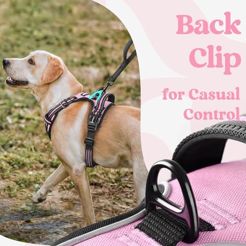 rabbitgoo Dog Harness Small Sized, No Pull Easy On & Off with 3 Buckles Pet Harness, Adjustable Soft Walking Vest with 2 Clips and Handle, Reflective for Small Dogs, Pink, S - color: Pink, size: Small