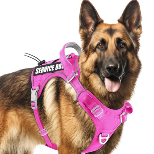 BARKBAY Service Dog Vest Tactical Dog Harness Medium Large Sized Dog No Pull Adjustable Dog Harness Reflective K9 Working Training Easy Control Military Molle System(Pink,XL) - color: Pink, size: X-Large
