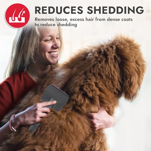 KONG Large Slicker Brush – Removes Loose Hair, Reduces Shedding, Comfortable Non-Slip Grip, Long Metal Pins, for Medium to Large Dogs with Medium to Long Coats, Red/Gray - size: Large Slicker