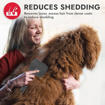 KONG Large Slicker Brush – Removes Loose Hair, Reduces Shedding, Comfortable Non-Slip Grip, Long Metal Pins, for Medium to Large Dogs with Medium to Long Coats, Red/Gray - size: Large Slicker