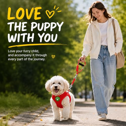 Dog Harness Small Sized and Leash Set, Step in Soft Light Puppy Vest, Breathable Mesh Pet Harness, Adjustable Pet Puppy Harness, Easy Walk Dog Harness, S: Chest 7.8-13.7" - color: Red, size: S: Chest 7.8-13.7" Leash 3.8 FT