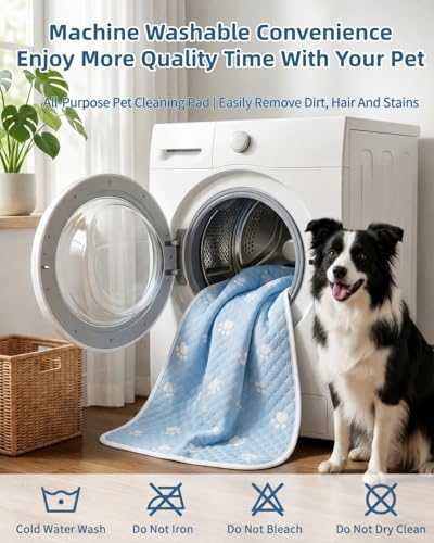 BWX Cooling Mat for Dogs - Easy Clean & Fold Cool Mat for Dogs, Chew Resistant Dog Cooling Pad with Non-Slip Bottom & Chill Soothing Fabric (M/20''×28'') - size: M/20''×28''