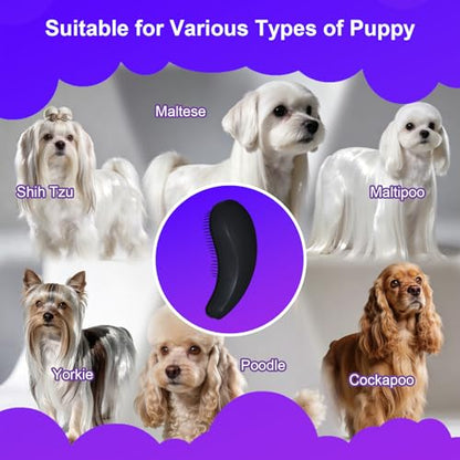 Small Dog Brush- Grooming Tool for Teddy, Yorkies, Maltese, Shih Tzu, Chihuahua - Puppy Hair Brush (Black) - color: Black