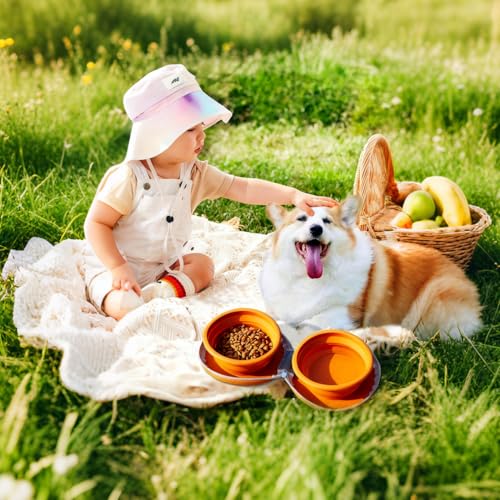 Collapsible Dog Bowls, Portable Dog Bowl, Travel Water Bowl for Dogs Camping Essentials, 2-in-1 Water Food Feeder Double Bowl for Traveling Camping Walking Hiking (Brown) - color: Brown
