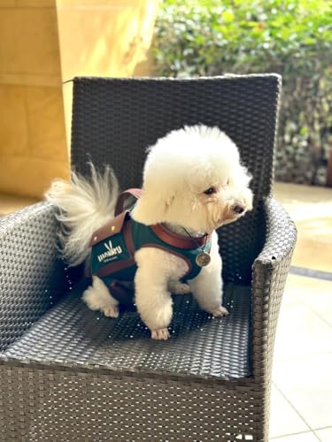 Wakytu Dog Lift Harness Dog Carrier Sling for Small Dogs & Cats,S | stylish puppy sling carrier with handle & pocket,adjustable leash,walking & travel - color: 1.0 Green, size: Small(4-8 LBS)