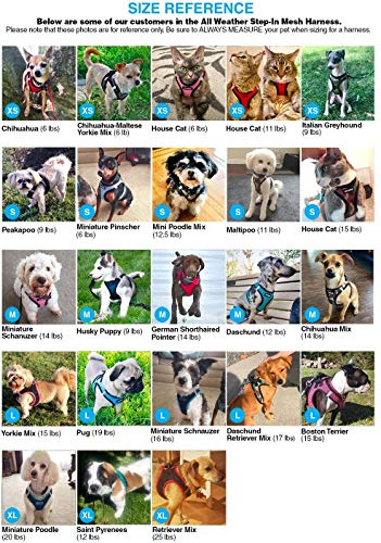 Best Pet Supplies - All Weather Mesh / Plush, Reflective, No Pull Harness for Small, Medium Dogs, Cats - Secure with Hook & Loop Fastener, Buckle, Double D-Rings - Black/Black Trim, M - color: Harness (Black/Black Trim), size: M (Chest: 16 - 18")