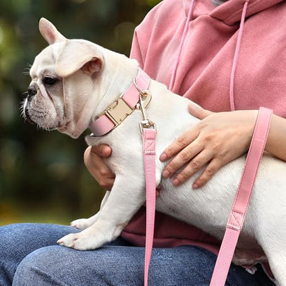 PET ARTIST Soft PU Leather Dog Collar, Bright & Classic Pink Dog Collar with Quick Release Rose Metal Buckle, Adjustable Nylon Padded Durable Pet Collars for Small Dogs Girl, Neck Fit 9-14" - color: Pink, size: S: Fit 9-14" Neck(10-20 lbs)