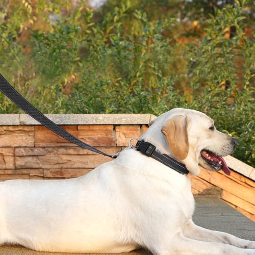 Dog Leash 6 FT Padded Handle Nylon Reflective Dogs Leashes for Small Dogs Black - color: Refl Black, size: Small : 5/8" x 6 FT