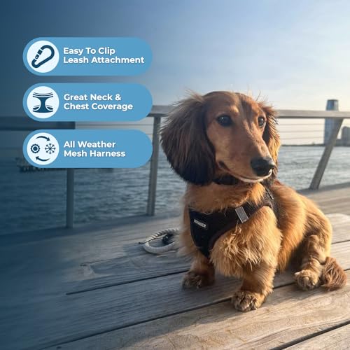 Best Pet Supplies - All Weather Mesh / Plush, Reflective, No Pull Harness for Small, Medium Dogs, Cats - Secure with Hook & Loop Fastener, Buckle, Double D-Rings - Black/Black Trim, L - color: Harness (Black/Black Trim), size: L (Chest: 18 - 20.5")