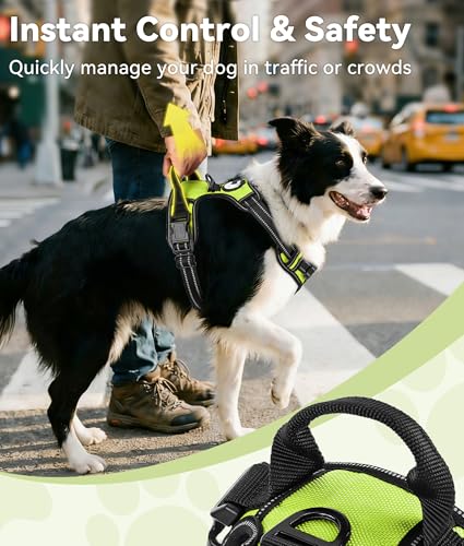 Joytale No Pull Dog Harness Medium Sized Dog, Reflective Pet Vest with Front Clip, Adjustable Soft Padded Harnesses with Easy Control Handle for Training and Walking, Green, M - color: Green, size: Medium